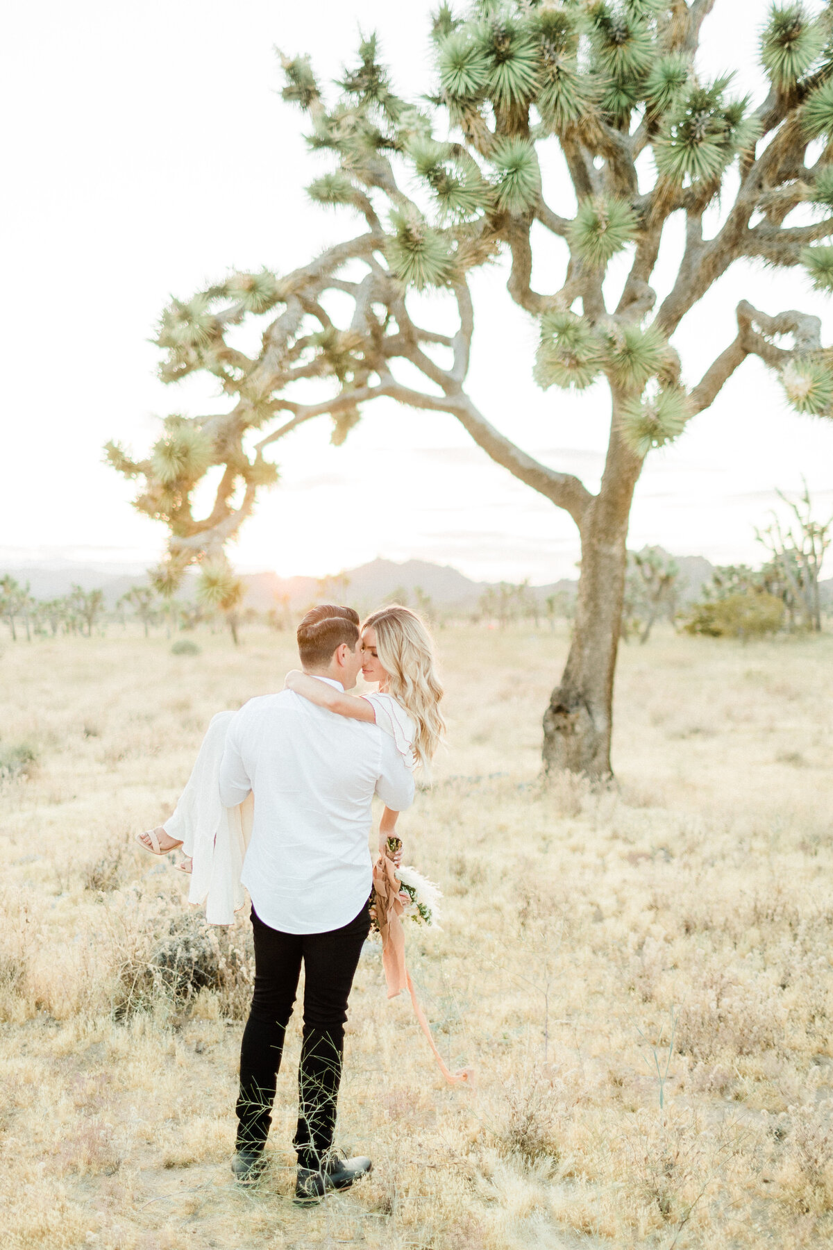 Carried through the golden grass beneath the Joshua trees