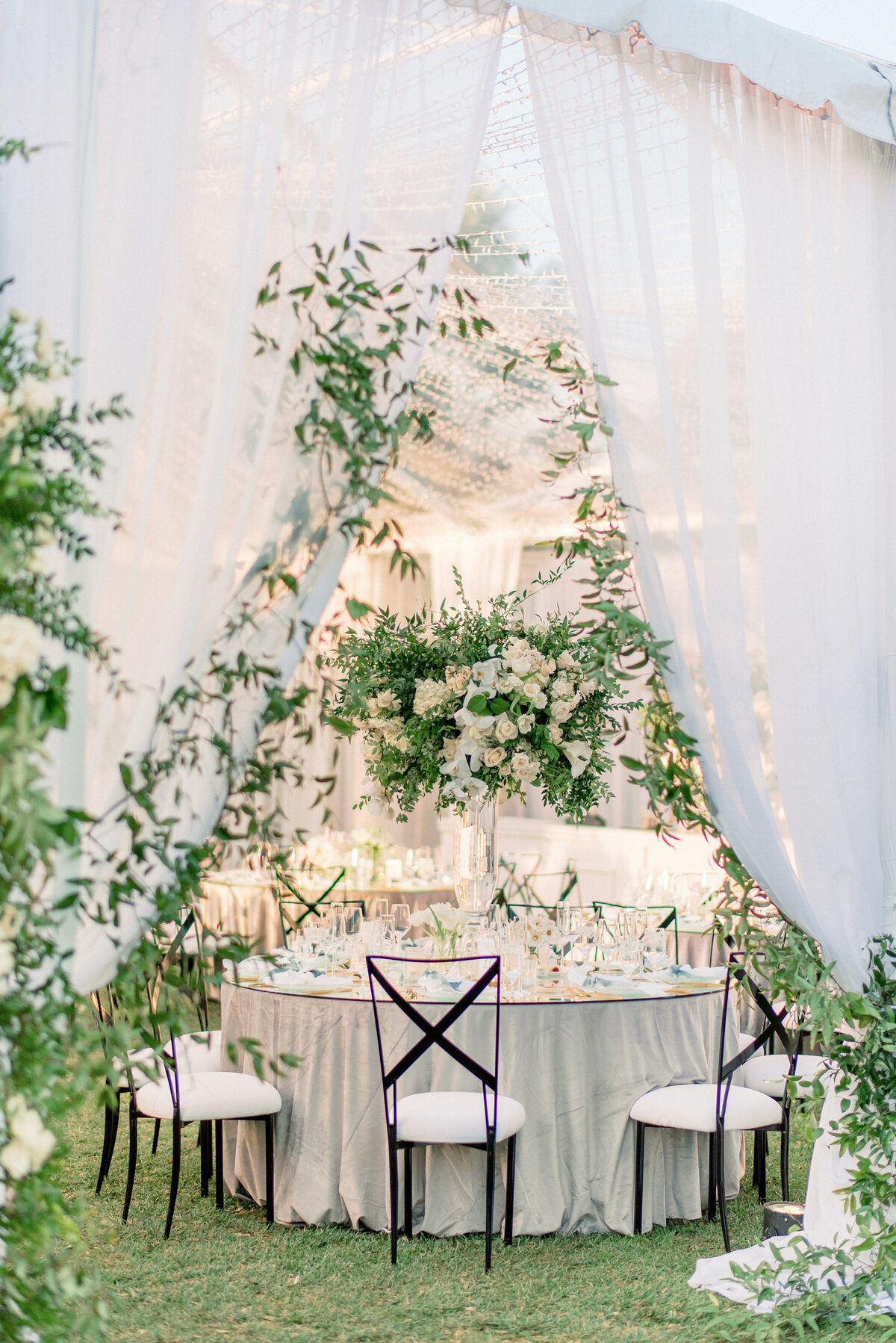 Inside the tent at dusk, sheer drapes parted on orchids and garden roses