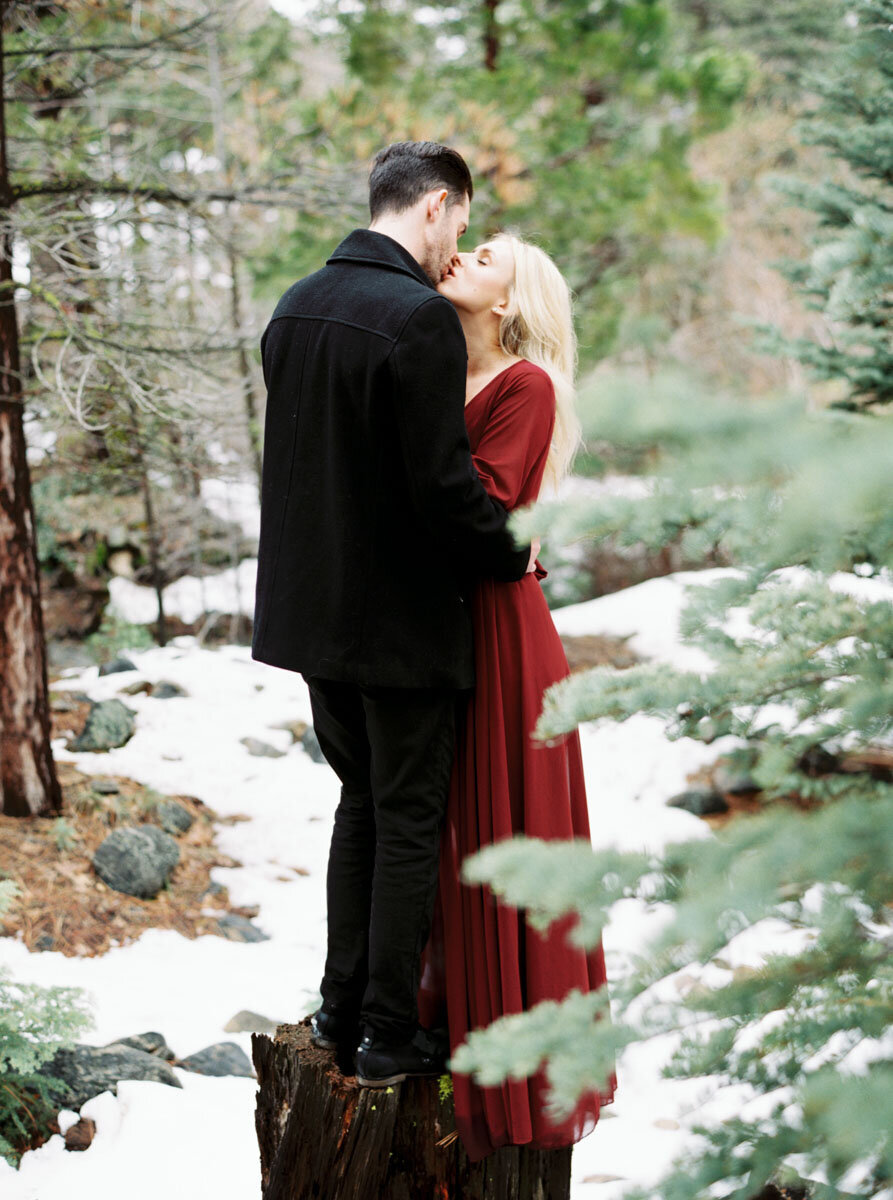 A crimson dress in the snowy pines, the two of them on one stump