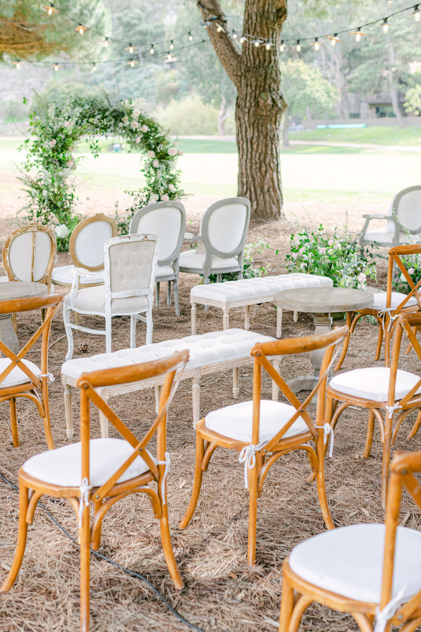 Cross-back chairs set on the grass beneath the trees