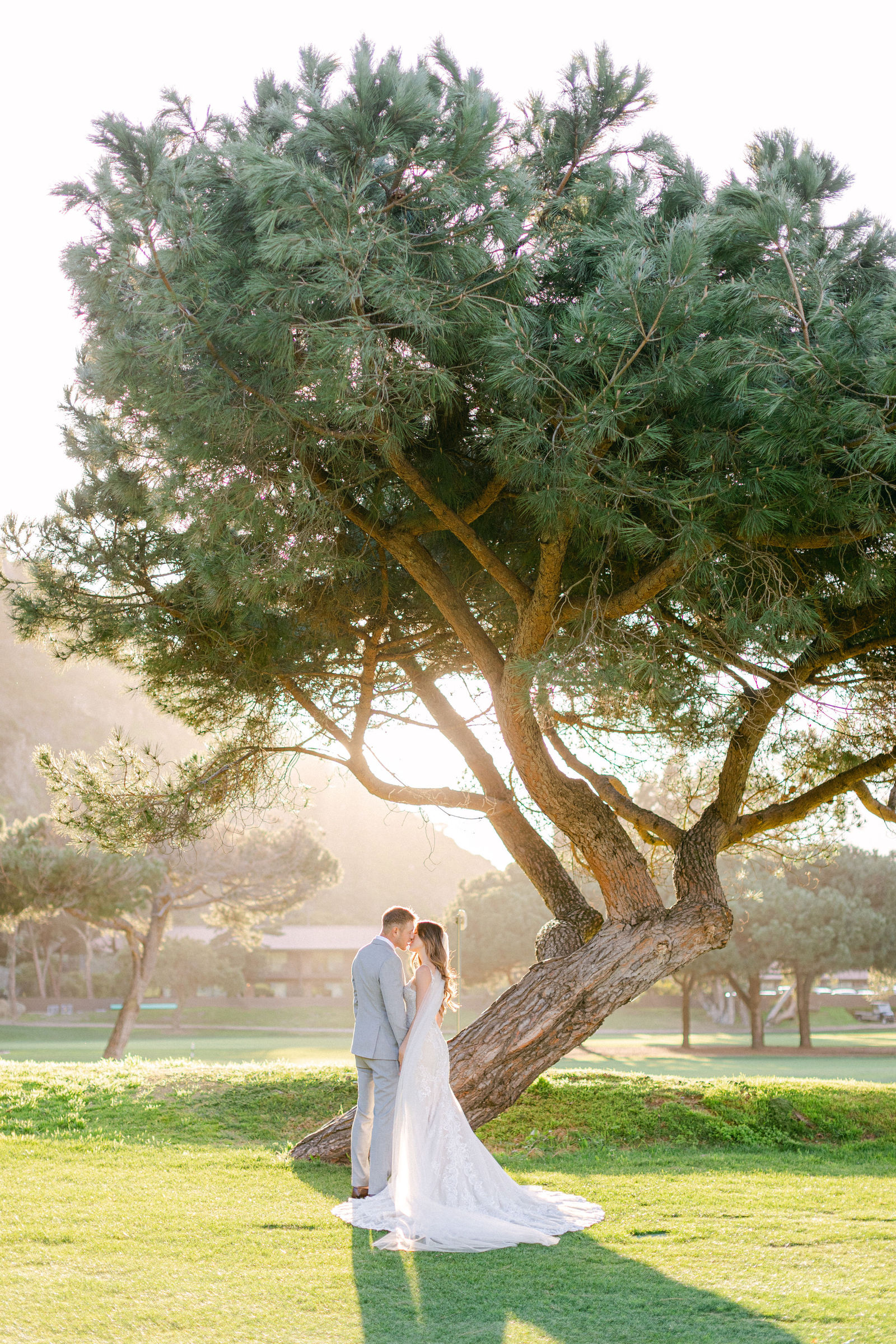 The couple beneath a great tree at The Ranch at Laguna Beach at sunset