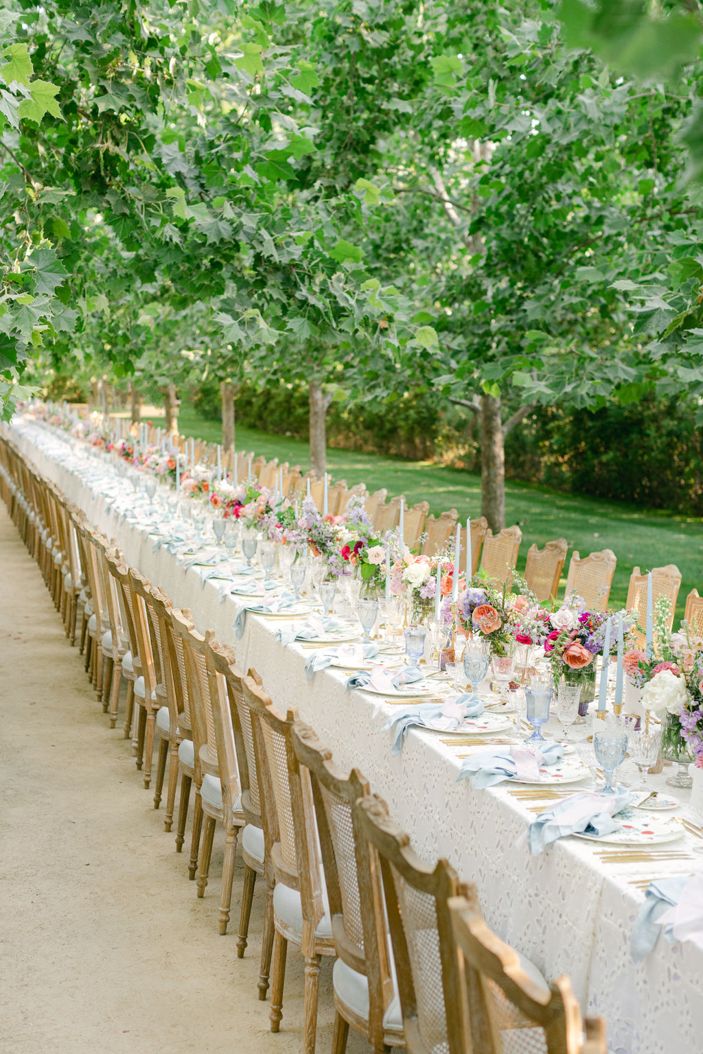 One long reception table beneath the sycamores at Kestrel Park