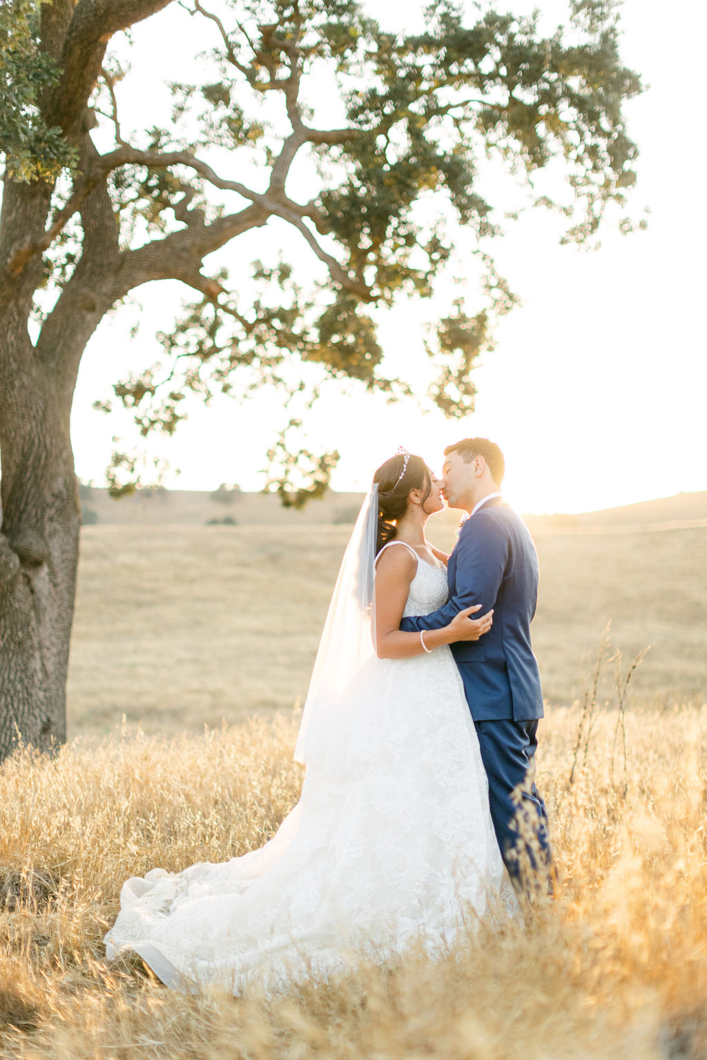 The couple beneath a lone oak in a golden summer field