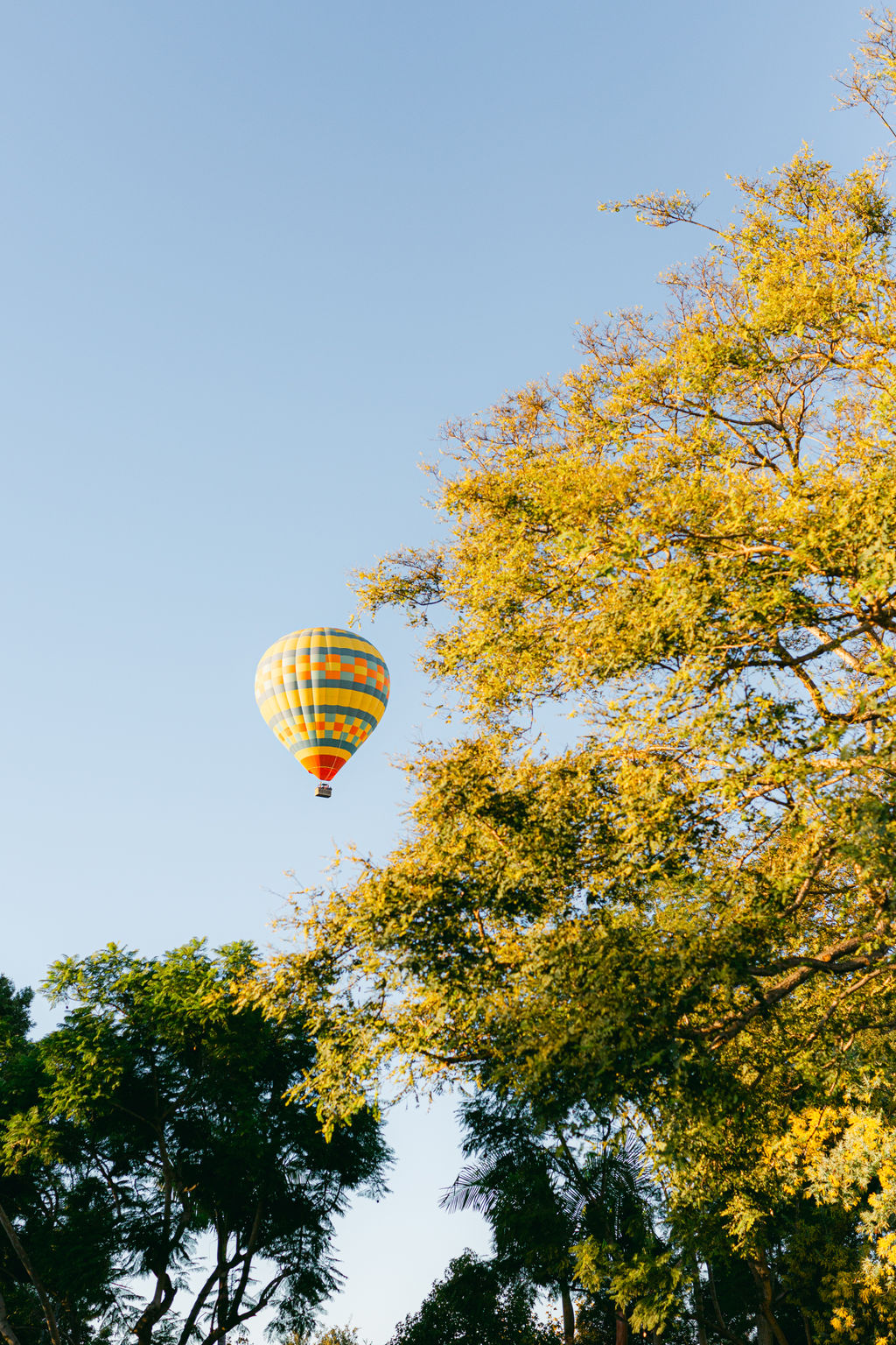 A hot air balloon drifting over Rancho Santa Fe