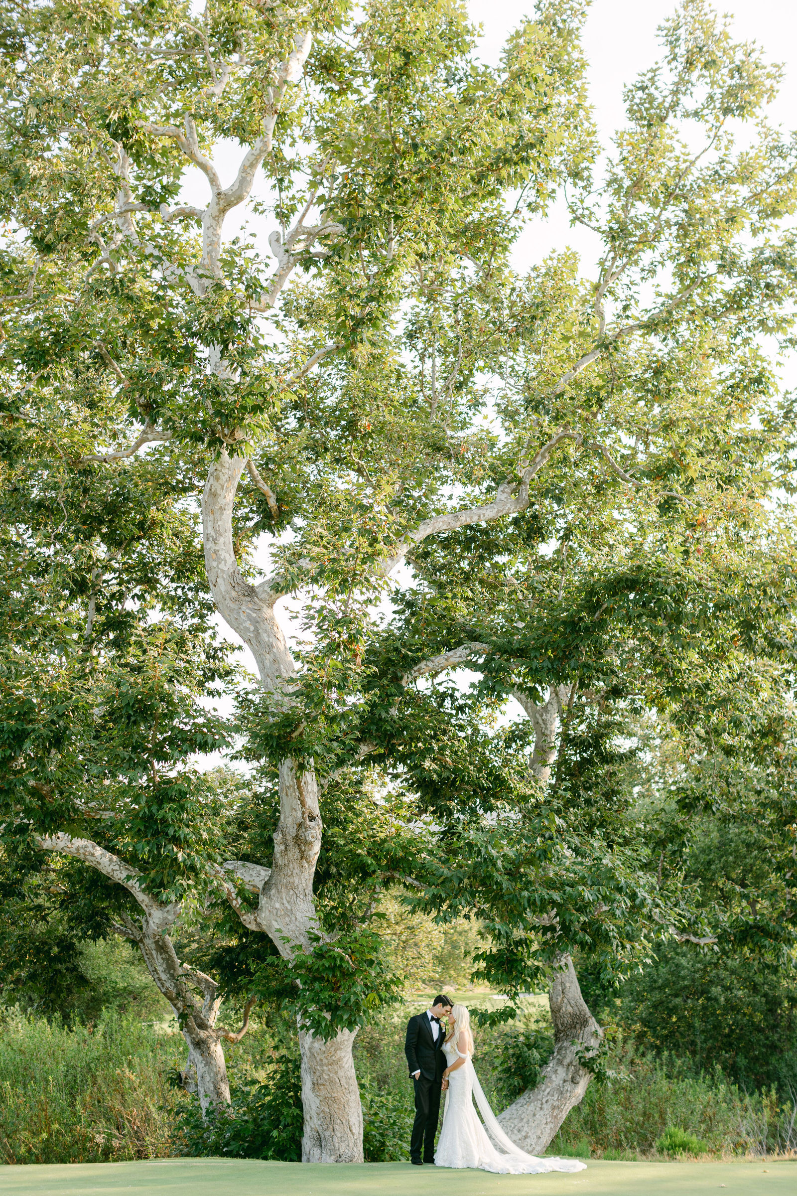 The couple beneath the sycamores at Shady Canyon Golf Club in Irvine