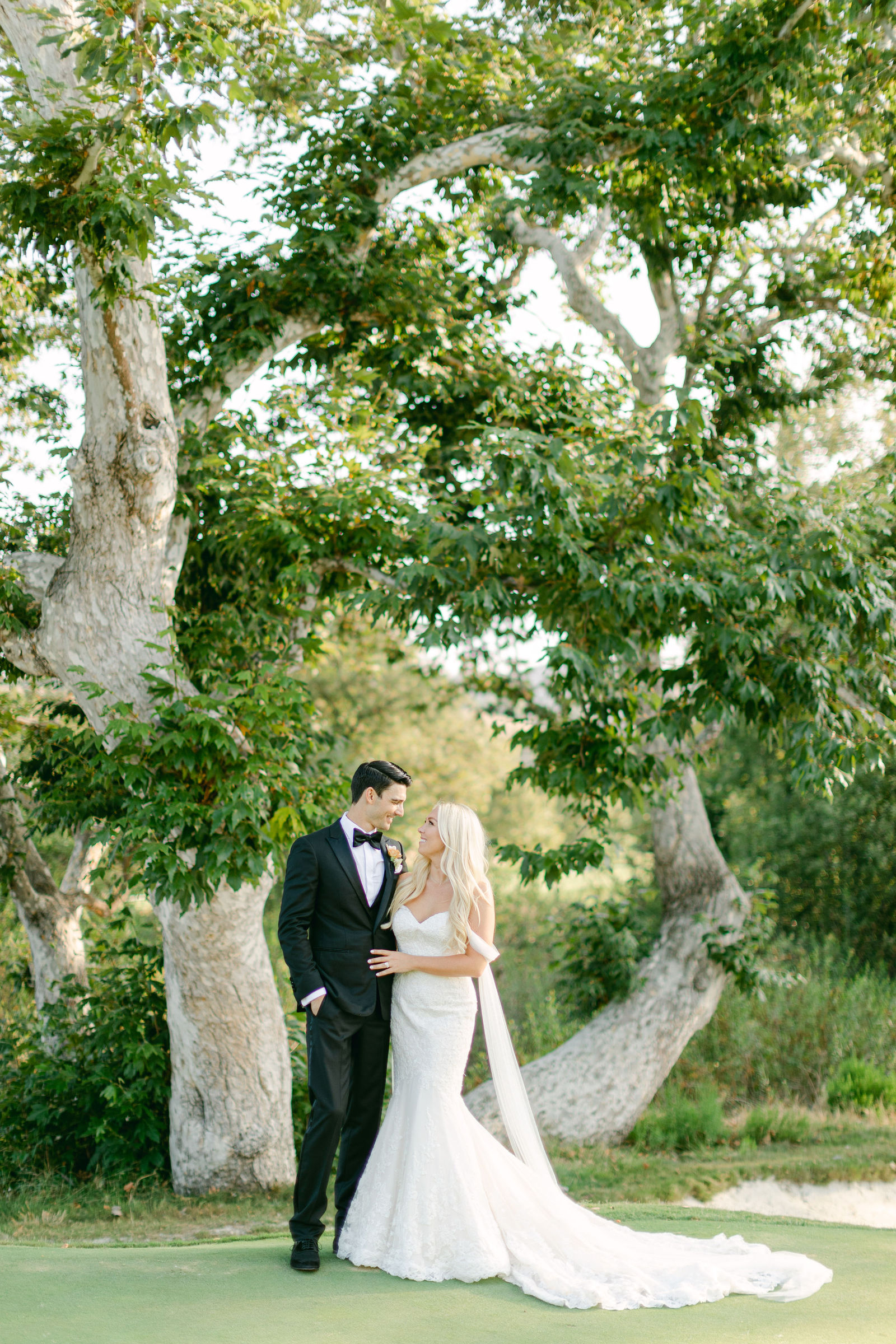 The two of them beneath the sycamores