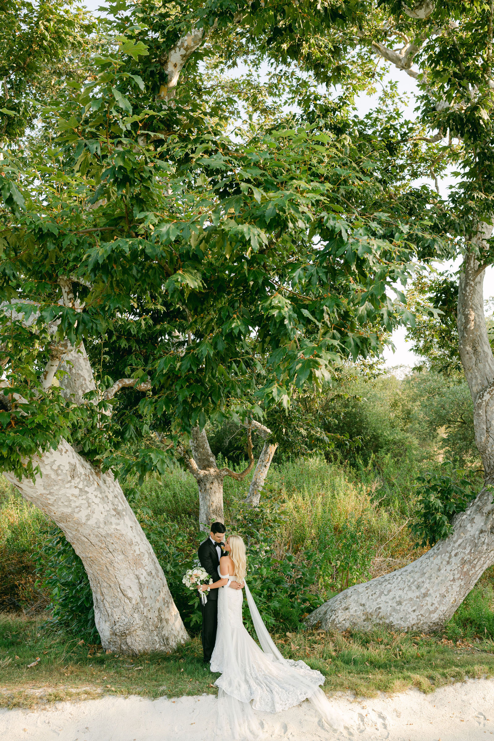 The two of them beneath the sycamores