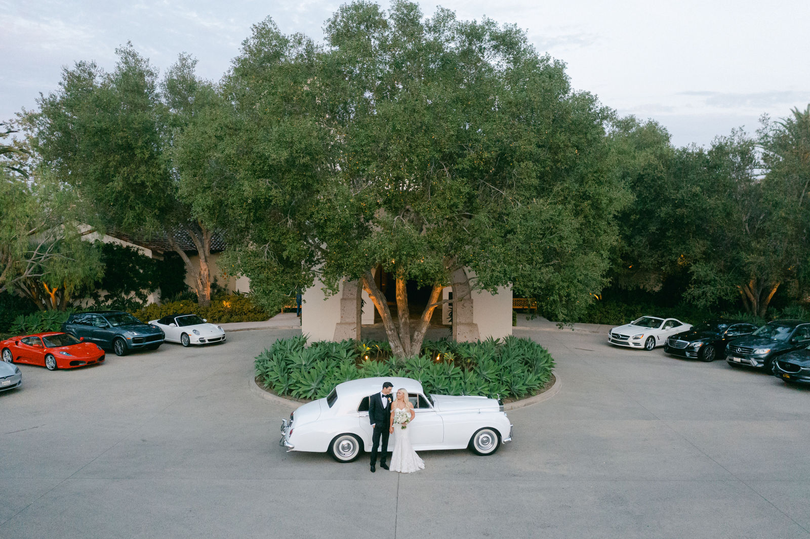 The couple at the motor court beneath the oak