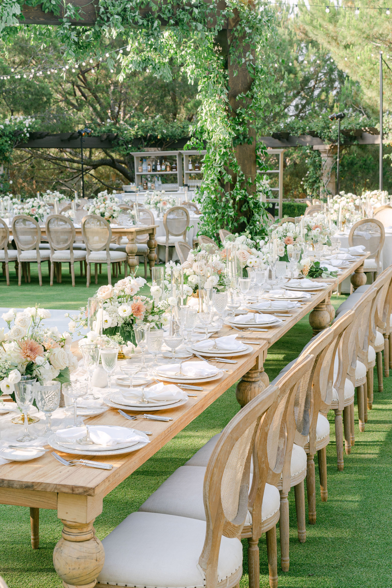 One long table under the vines at Shady Canyon, set with garden roses and peach dahlias