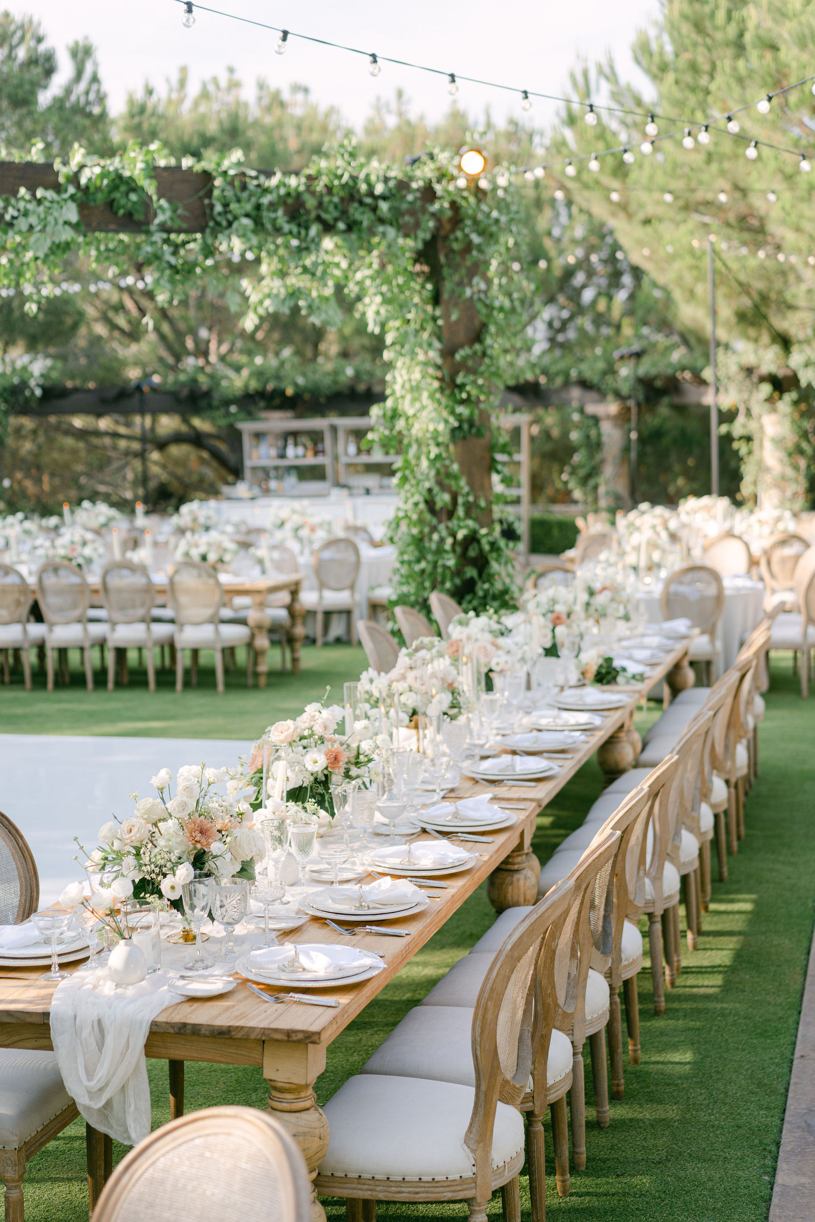 One long table under the vines, set for everyone they love
