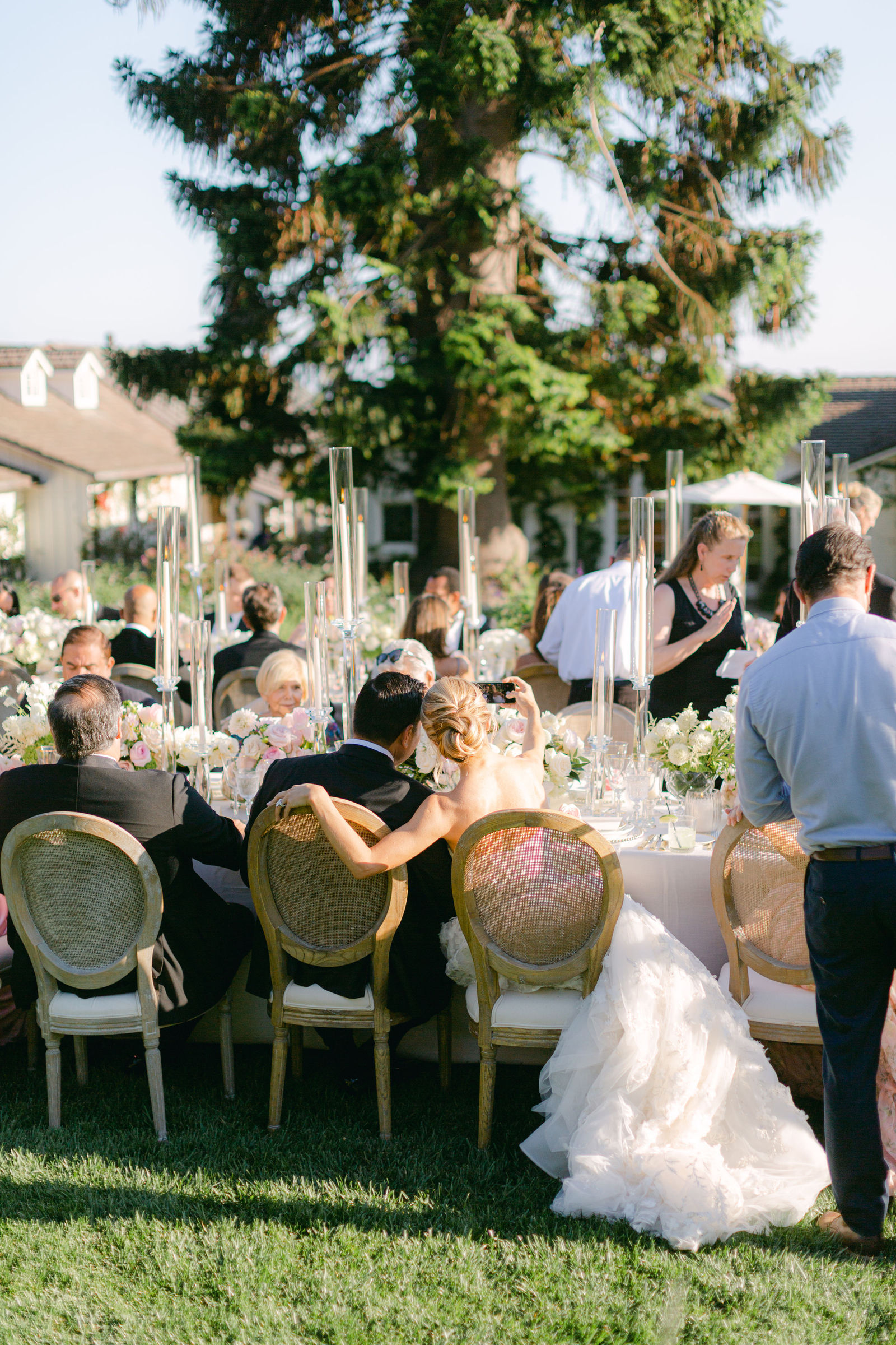 The sweetheart canopy on the lawn
