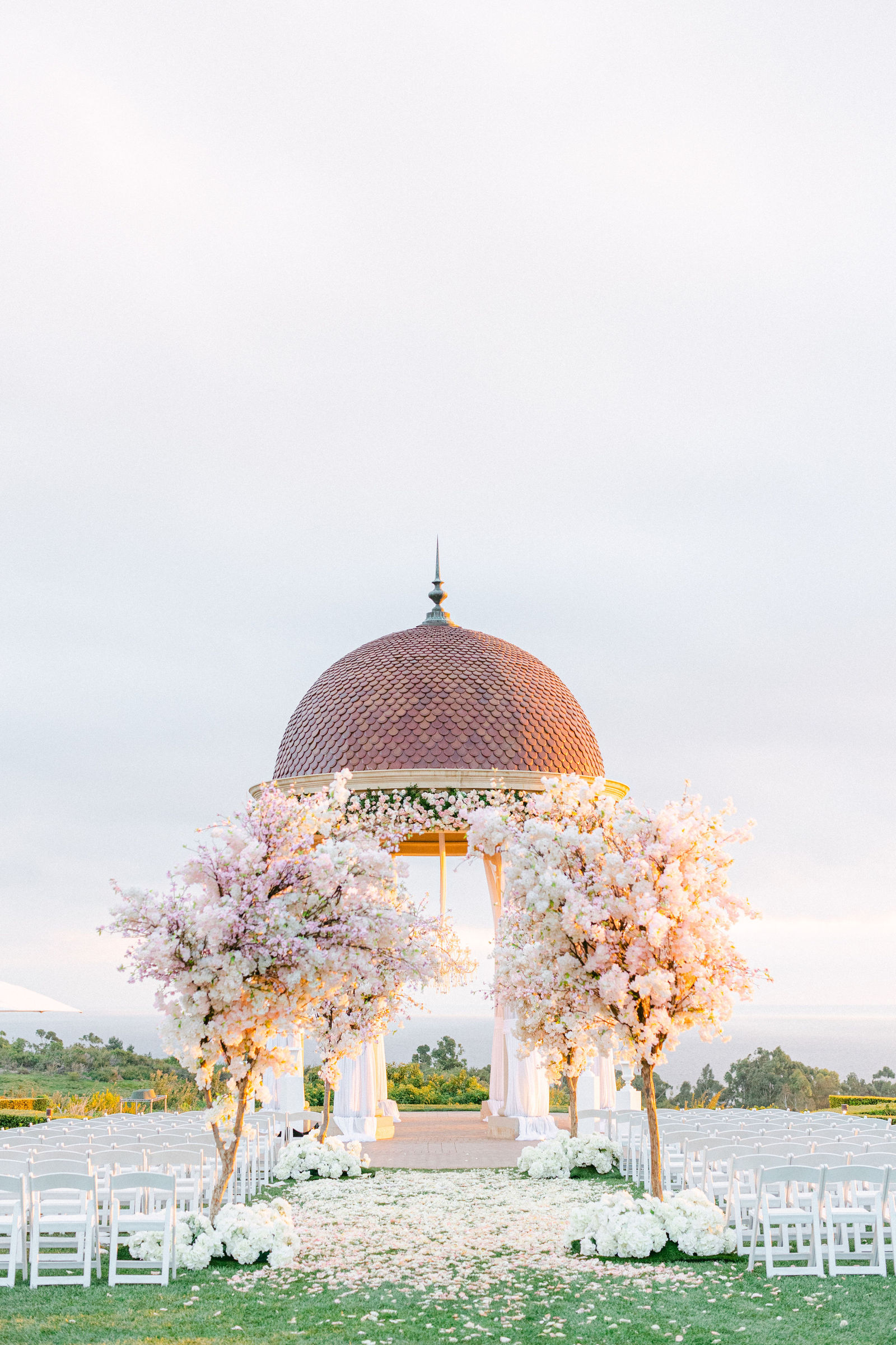 The rotunda and the blossoms at the end of the day