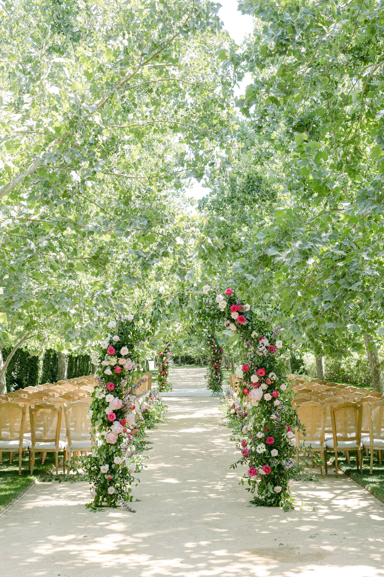 Ceremony in the sycamore allee at Kestrel Park, a floral arch of garden roses