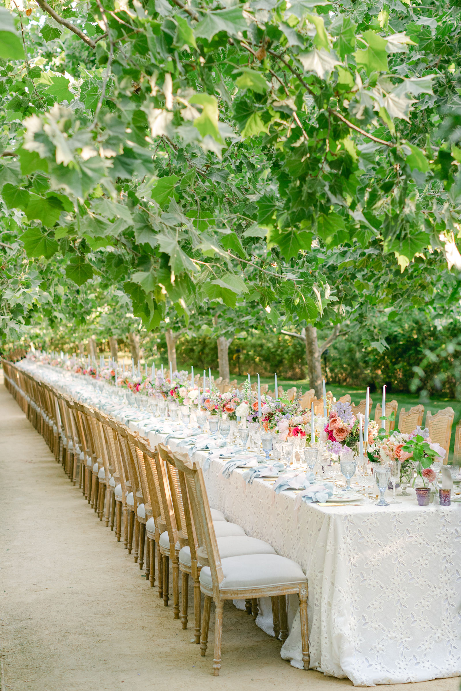 One endless dinner table beneath the sycamores at Kestrel Park